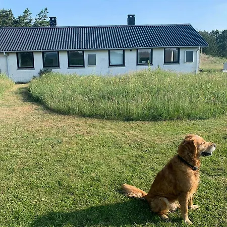 Casa vacanze Cosy 260 Metres From Tranum Brovst