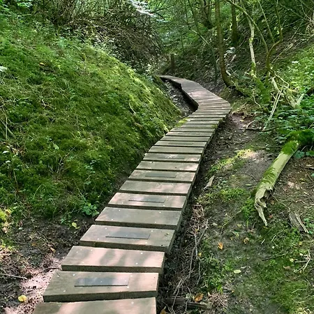 Cosy 260 Metres From Tranum